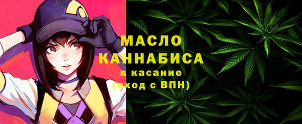 тгк Алексин
