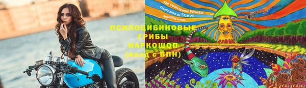 тгк Алексин