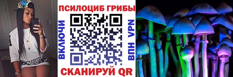 Псилоцибиновые грибы Psilocybe  Узловая 