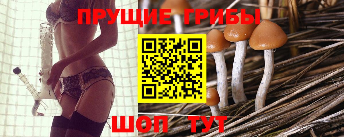 Псилоцибиновые грибы Magic Shrooms  закладки  Узловая  Галлюциногенные грибы Cubensis  Вход с VPN 